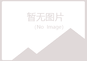 福海县夏岚能源有限公司